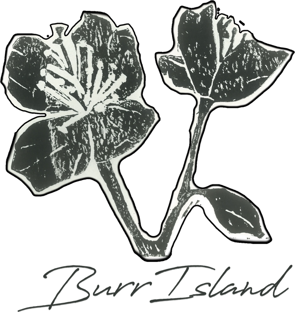 Burr Island Merch