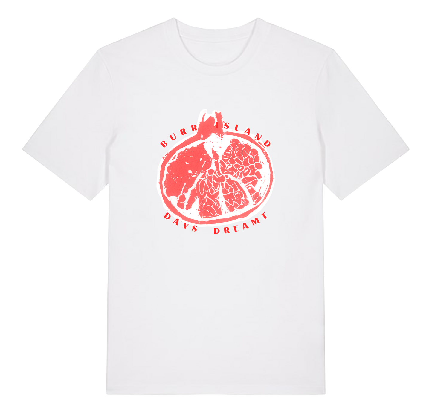 Days Dreamt 12'' Vinyl + Burr Island Logo Tee - White / Red